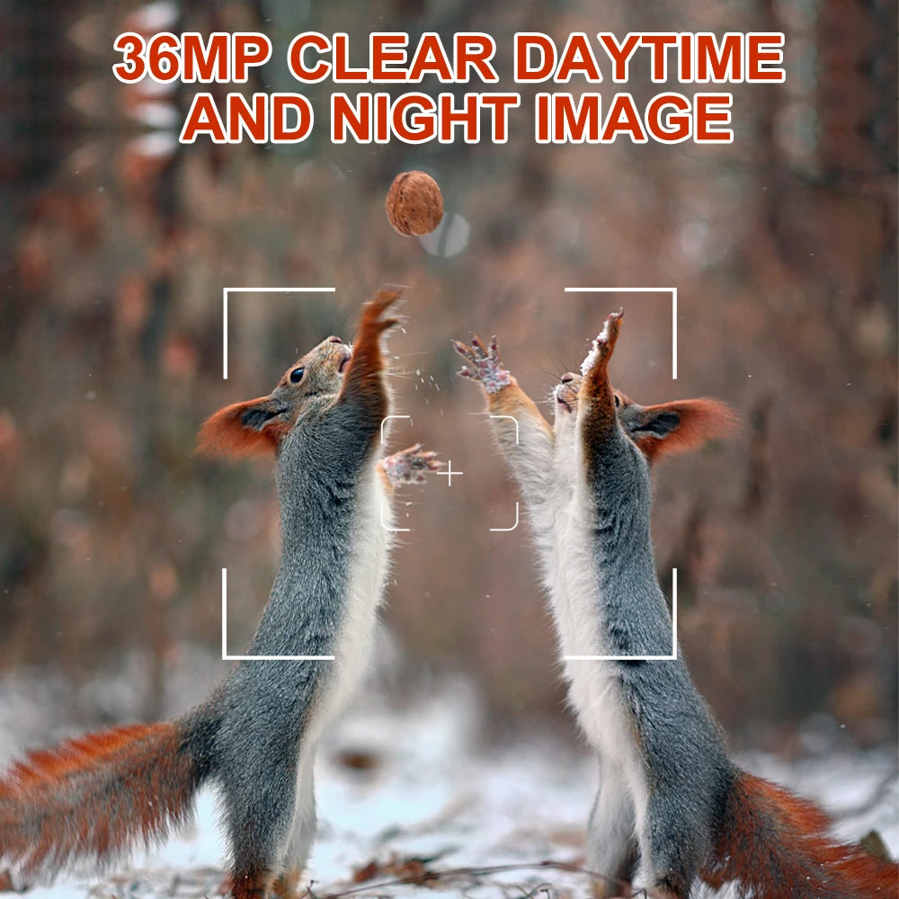 Fast Trigger Wildlife Scouting Trail Camera IP66 Waterproof, 1080P 36MP for Monitoring
