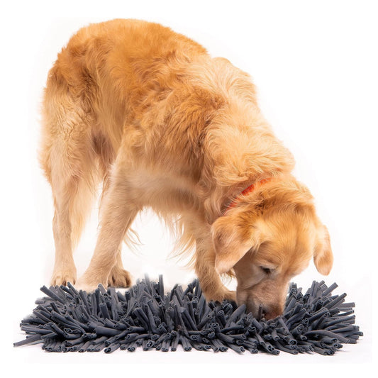 PETSWOL Dog Snuffle Mat - Premium Interactive Toy for Calm and Happy Pups_1