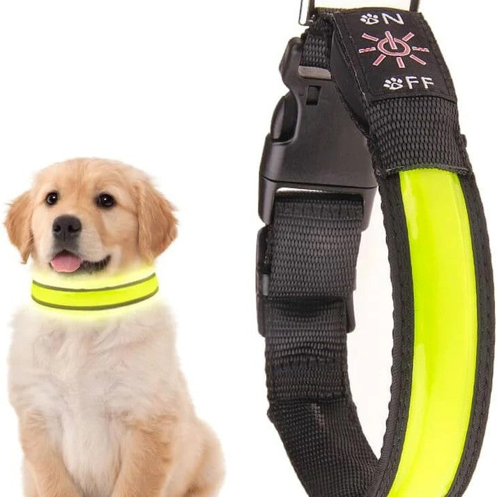 Pet Collars, Leads & Harness