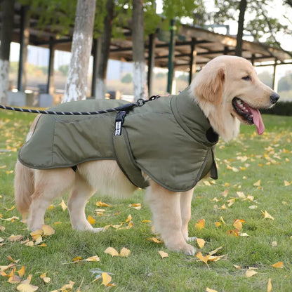 Hooded Pet Winter Jacket Thick and Comfortable Padded Dog Clothes