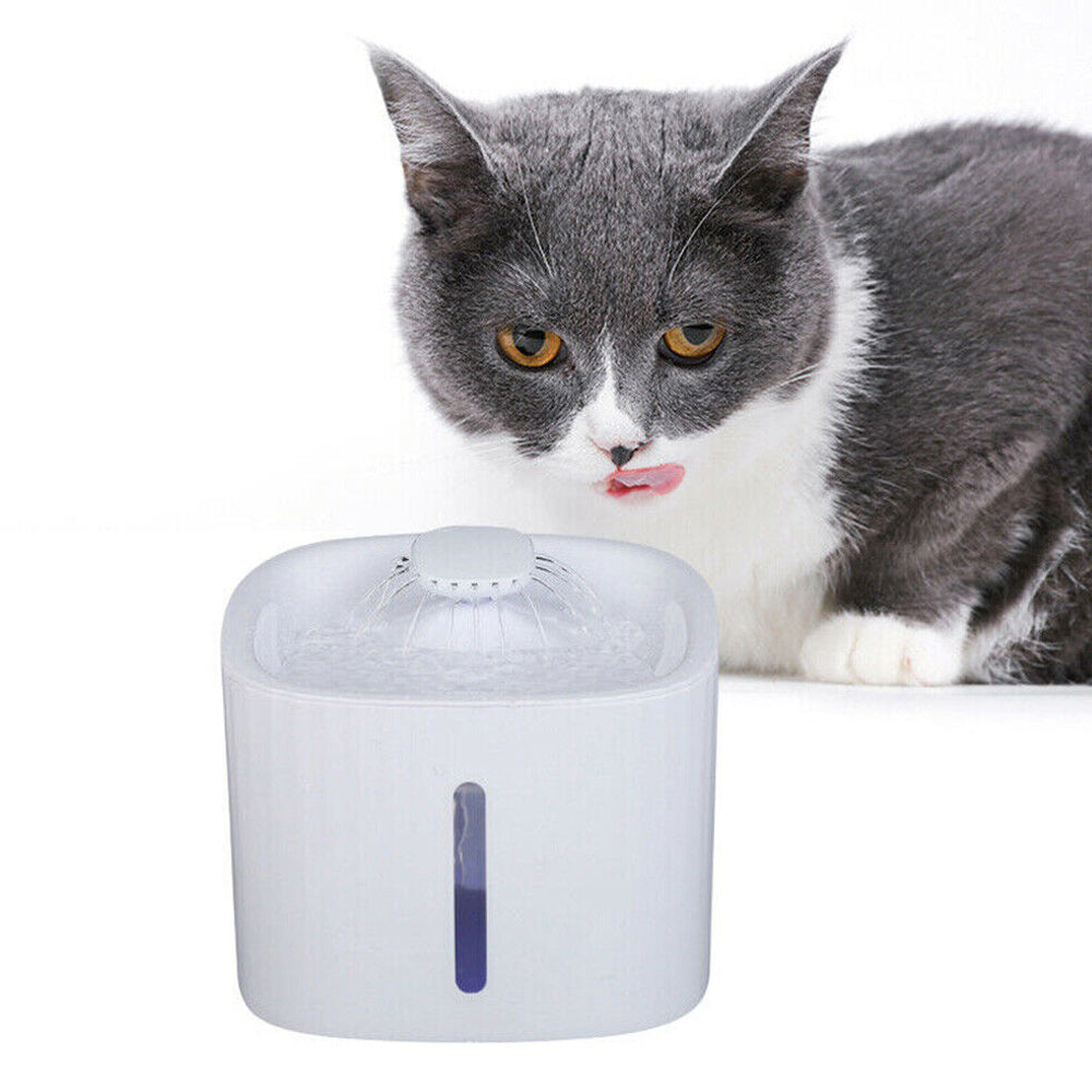 USB Powered Large Capacity Noise Free Pet Water Fountain