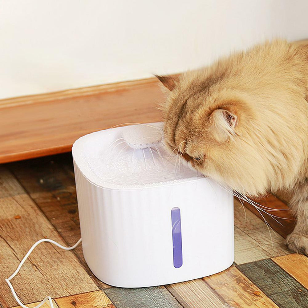 USB Powered Large Capacity Noise Free Pet Water Fountain