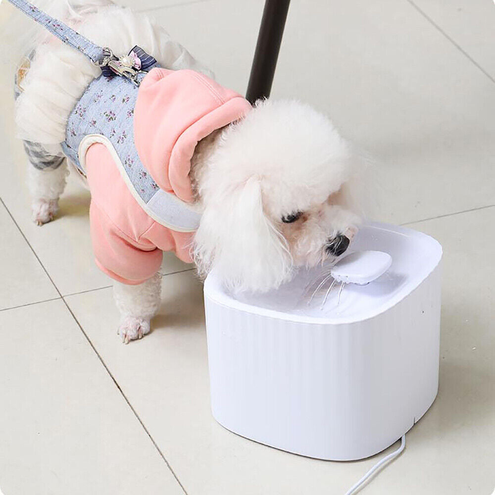 USB Powered Large Capacity Noise Free Pet Water Fountain