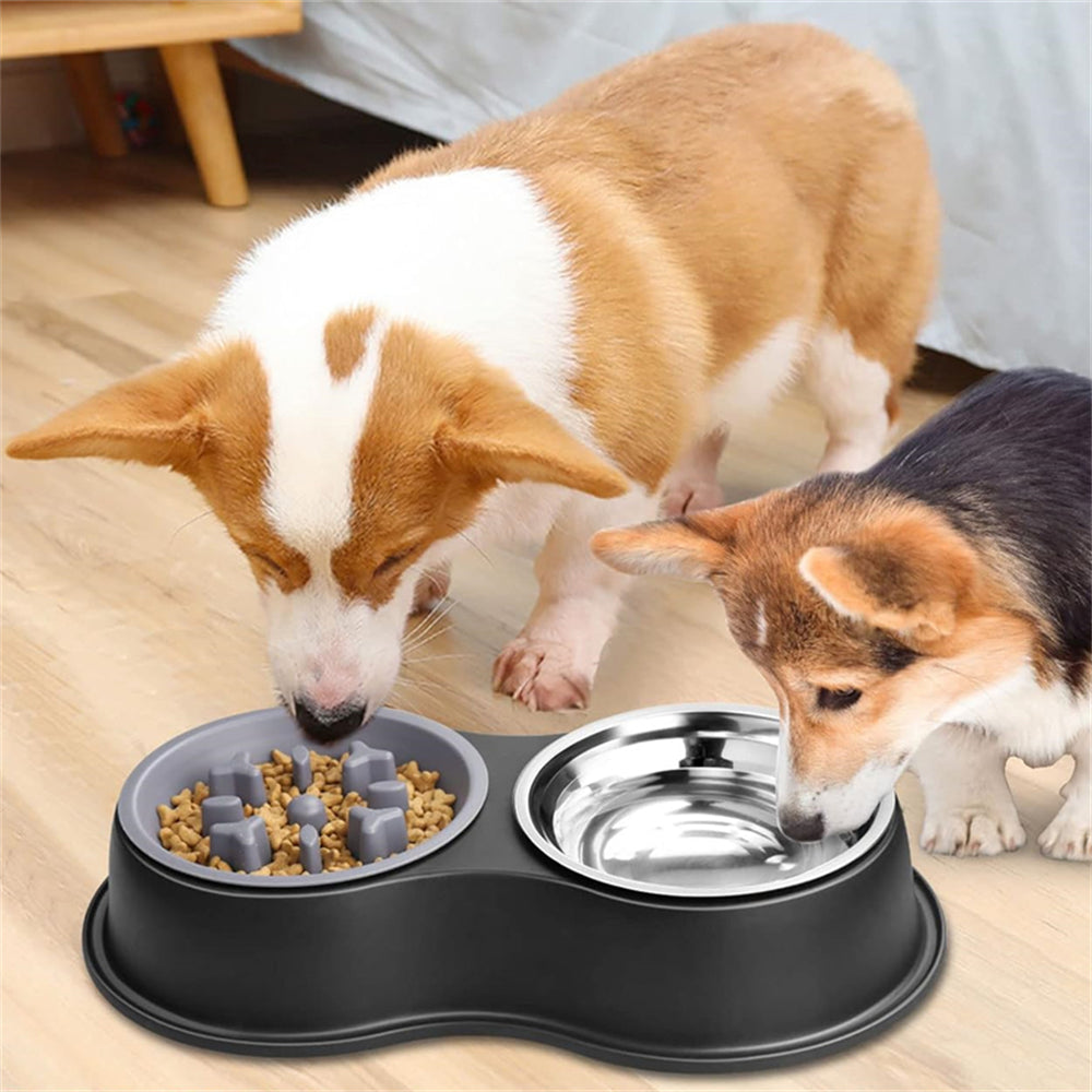 PETSWOL Dog Water And Food Bowls With Slow Feeder