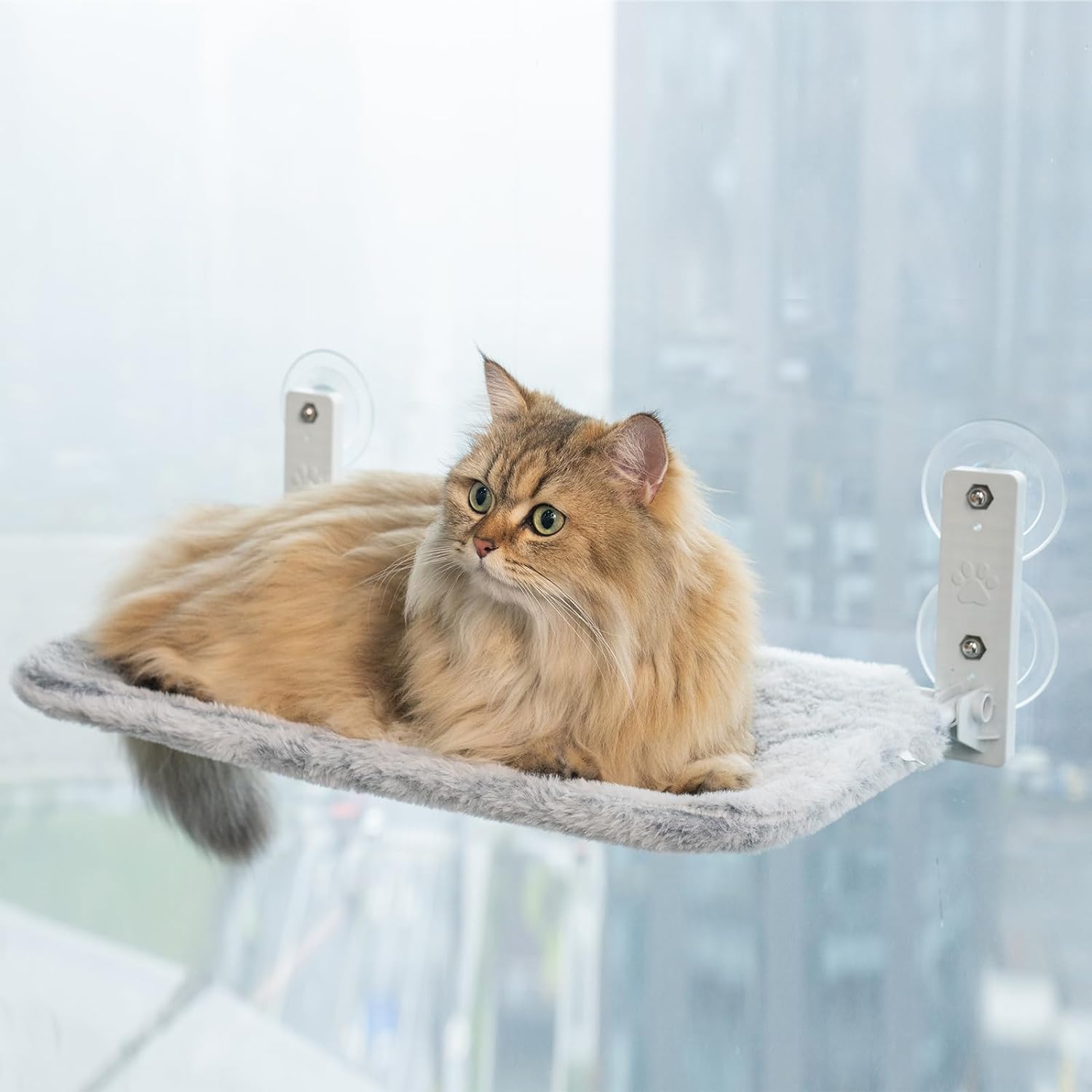 PETSWOL Foldable Cordless Cat Window Perch For Wall With Strong Suction Cups