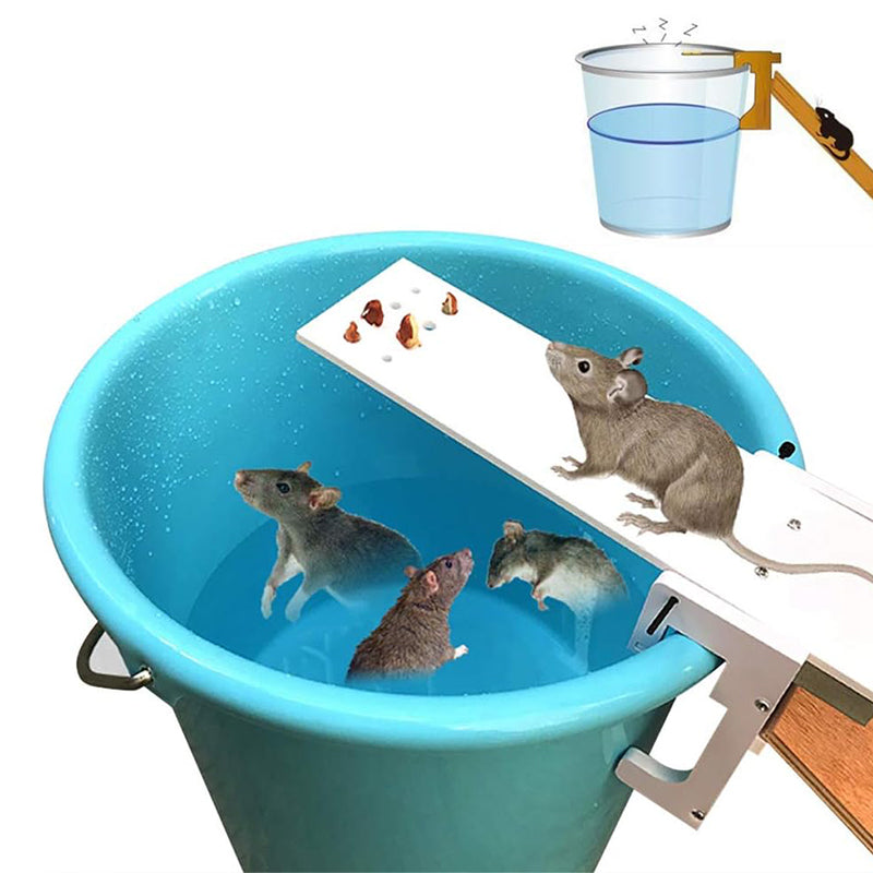 Walk The Plank Humane Bucket Auto Reset Mouse Trap_0