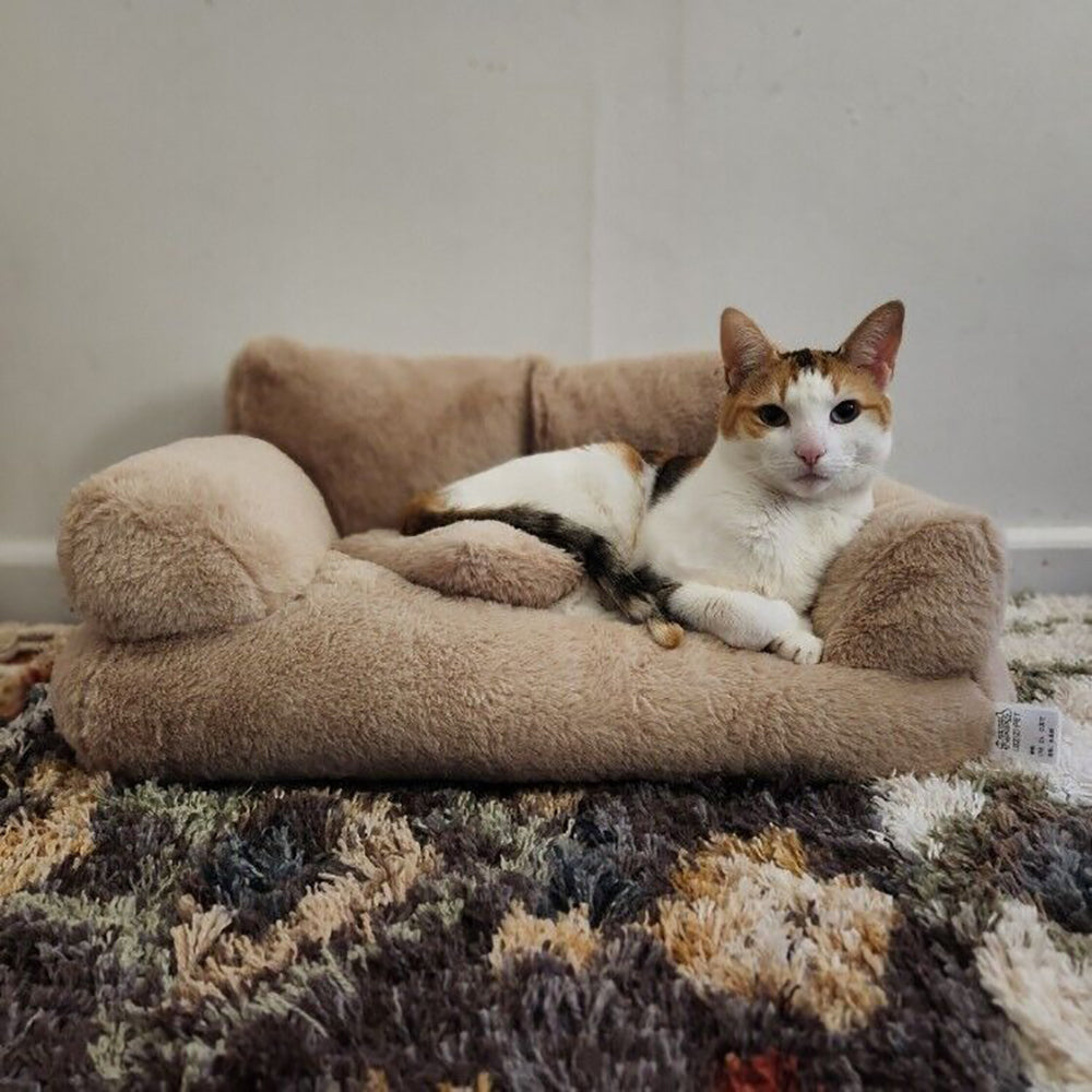 Luxurious Plush Sofa Bed for Cats and Small Dogs