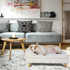 Elevated Pet Bed Nordic Pet Stool Bed with Waterproof Cozy Pad