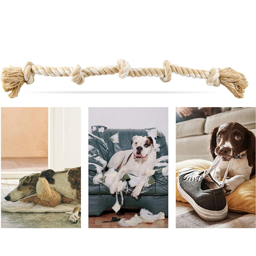 PETSWOL Dog Rope Toy for Dogs Who Love to Chew | Safe and Durable for Large and Medium Dogs_2