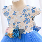 Elegant Girl Dresses, Sequins Princess Dress Baby Girl Birthday Party Flower Prom Gown Baptism Party Dress Kids Clothes, Girls Tutu Dress