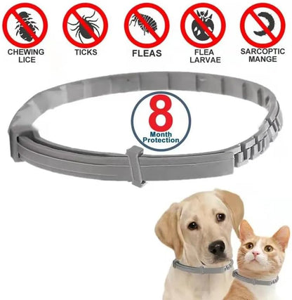 Flea Collar for Dogs 8 Months Natural Flea & tick Control for Dogs Tick Collar Dog Protection – Adjustable Dog Flea Collar for Medium to Large puppy