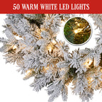 Christabelle 61cm Snowy Atica Pre-Lit Warm White LED Snowy Finish Christmas Wreath