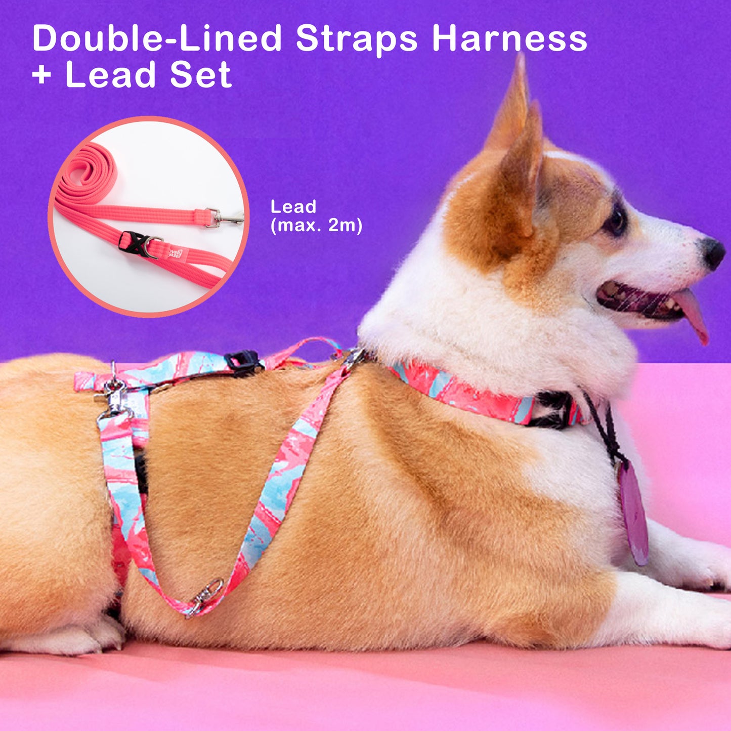 Dog Double-Lined Straps Harness and Lead Set Leash Adjustable L NEON CAROL-PINK