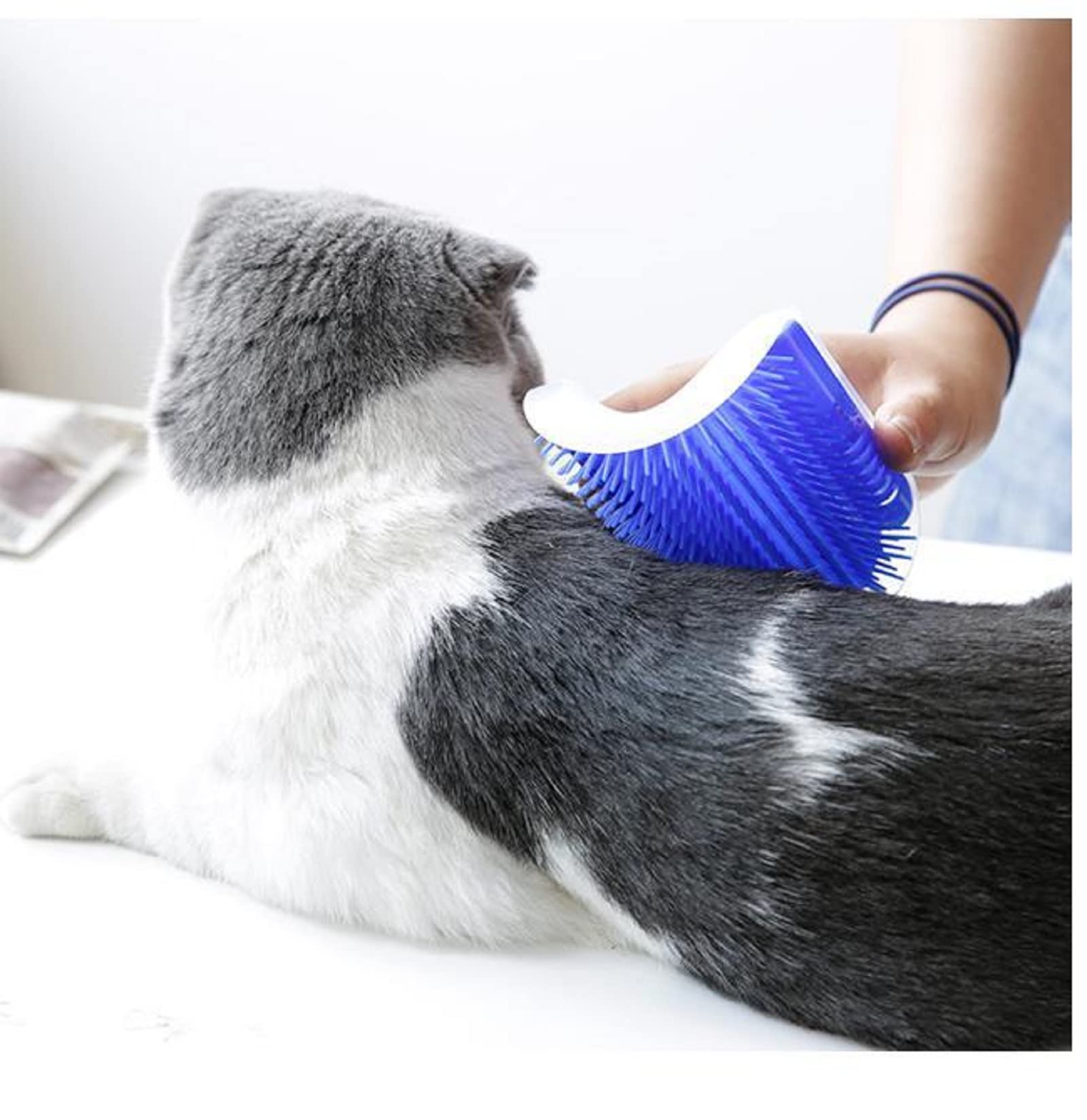 Cat Self Groomer Catnip Dog Cat Toy Corner Groomer Wall Corner Scratcher Comb Grooming Massage Brush Blue