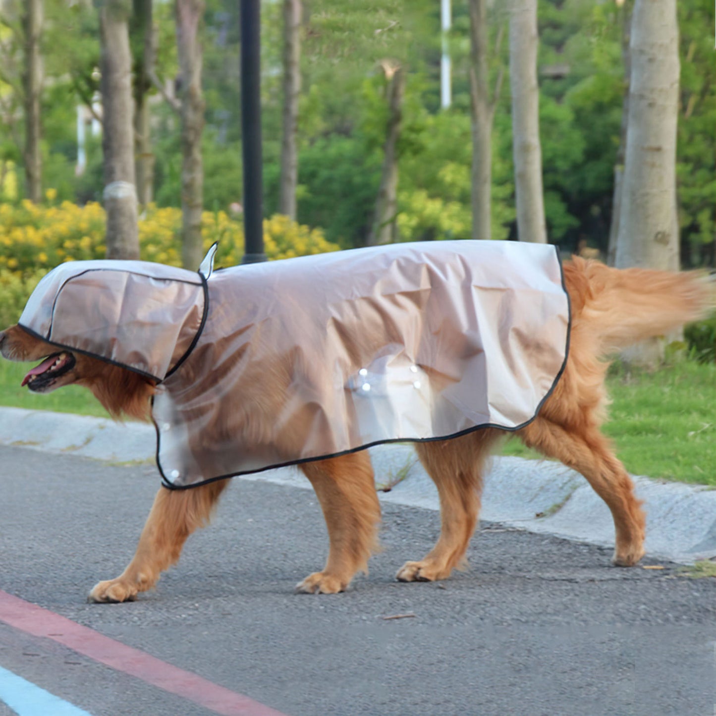 Pawfriends TPU Transparent Pet Cape Raincoat Large Dog Teddy Fadou Koki Dog Clothing