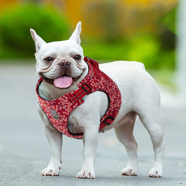 Floral Doggy Harness Red L